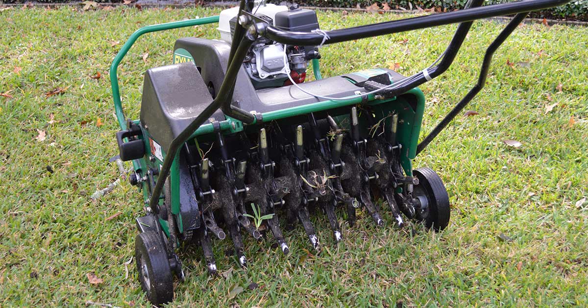 Reviving Your Lawn with Aeration